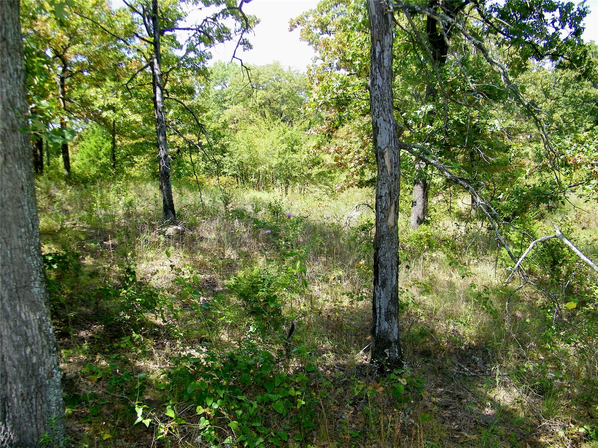 S 230th Road Henryetta OK 74437
