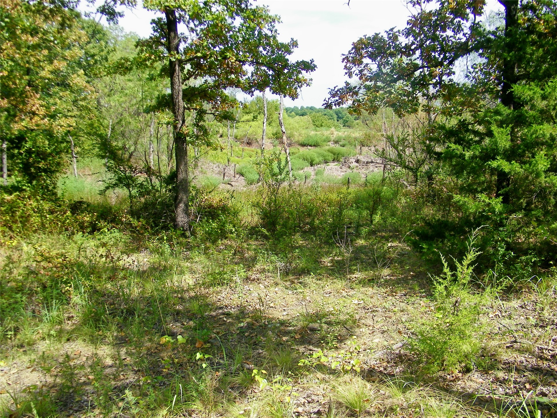 S 230th Road Henryetta OK 74437