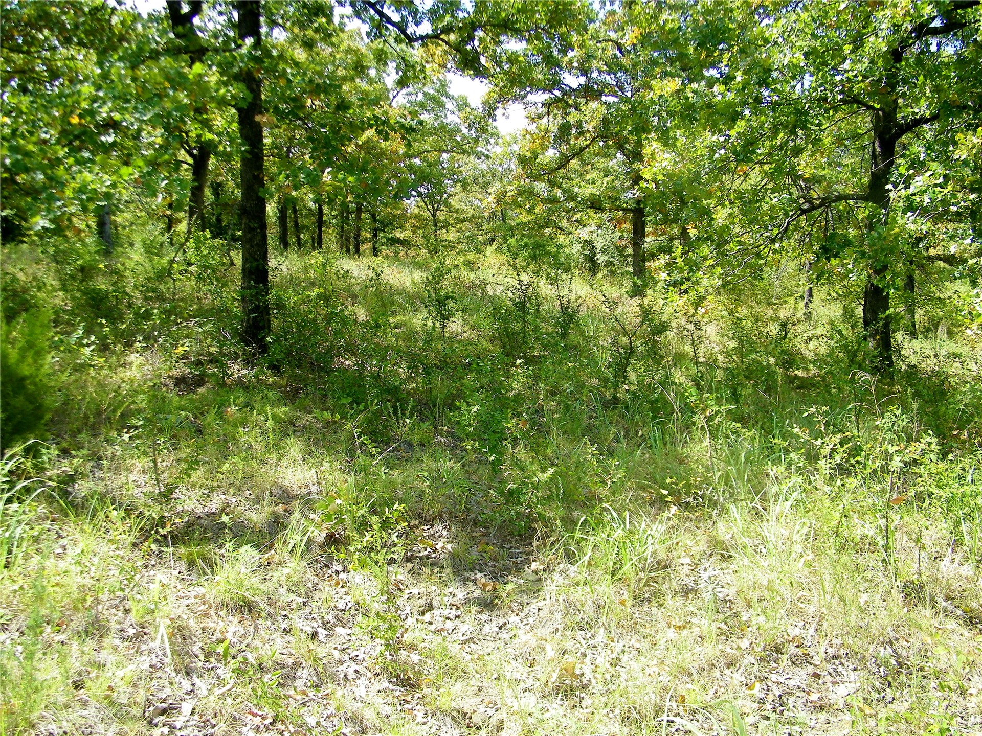 S 230th Road Henryetta OK 74437