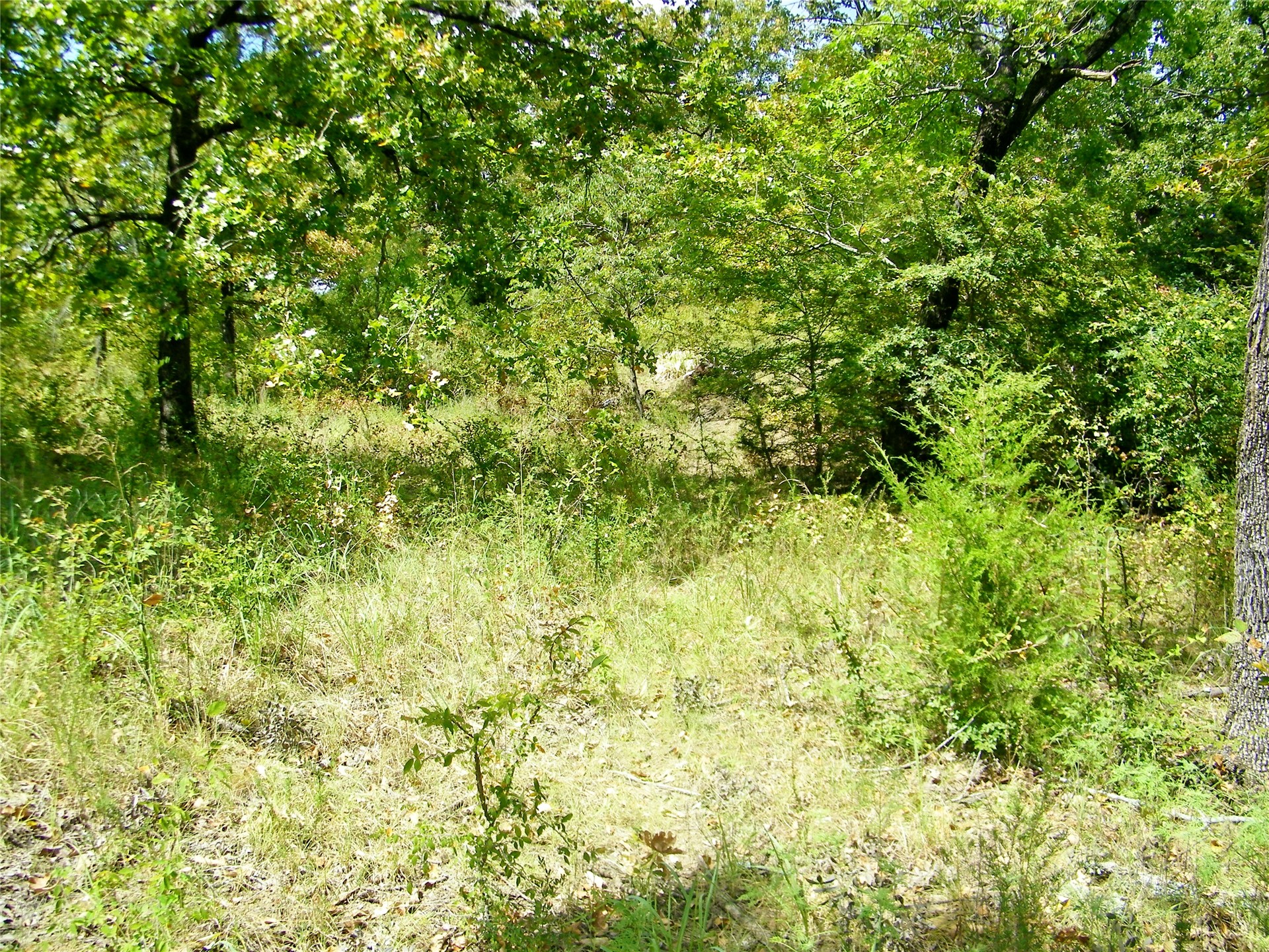 S 230th Road Henryetta OK 74437