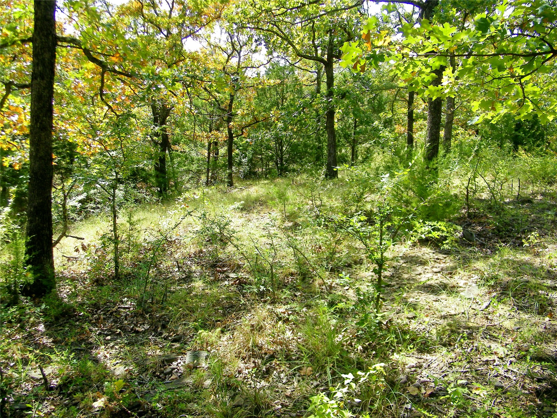 S 230th Road Henryetta OK 74437