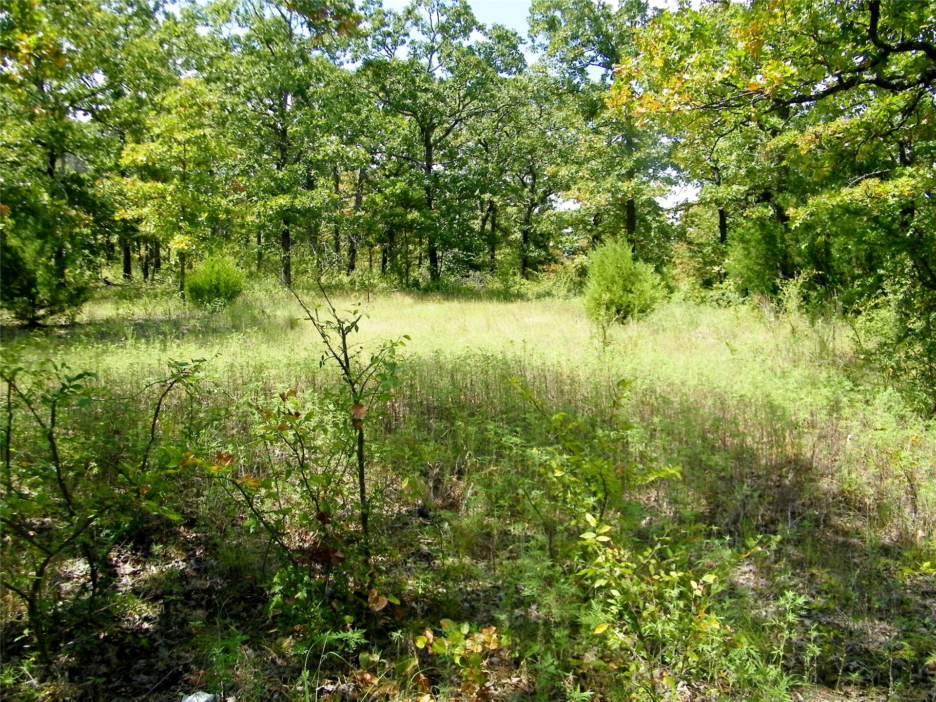 S 230th Road Henryetta OK 74437