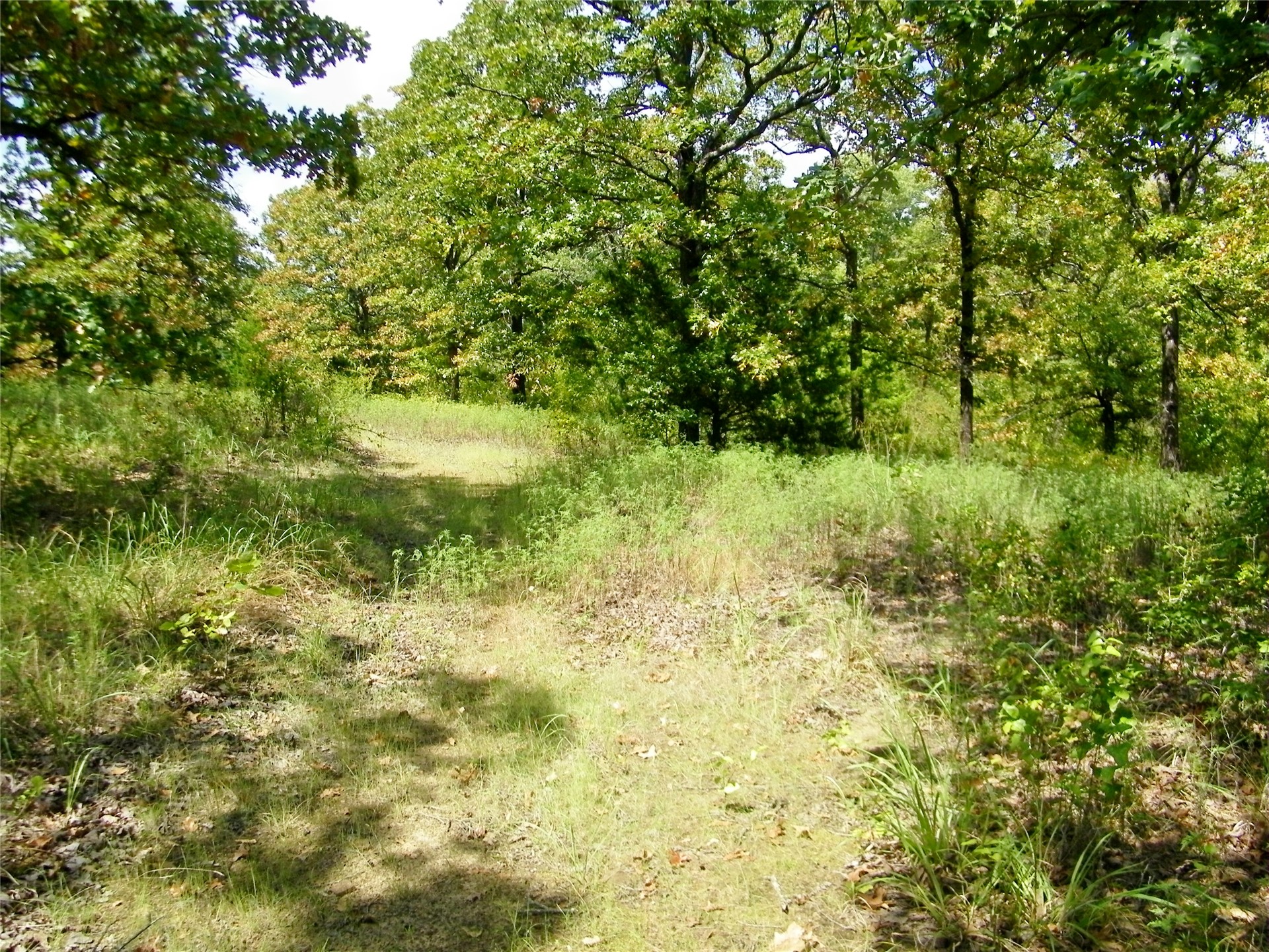 S 230th Road Henryetta OK 74437