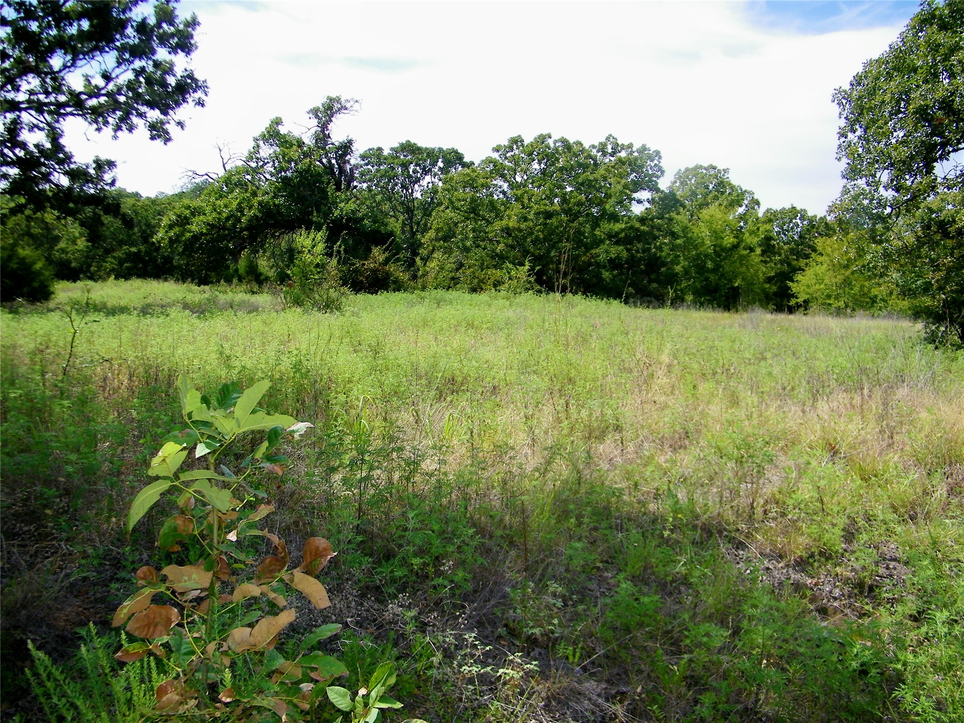 S 230th Road Henryetta OK 74437