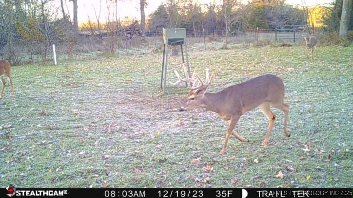 Harbert Drive Tishomingo OK 73460