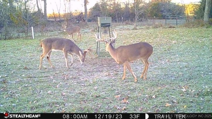 Harbert Drive Tishomingo OK 73460