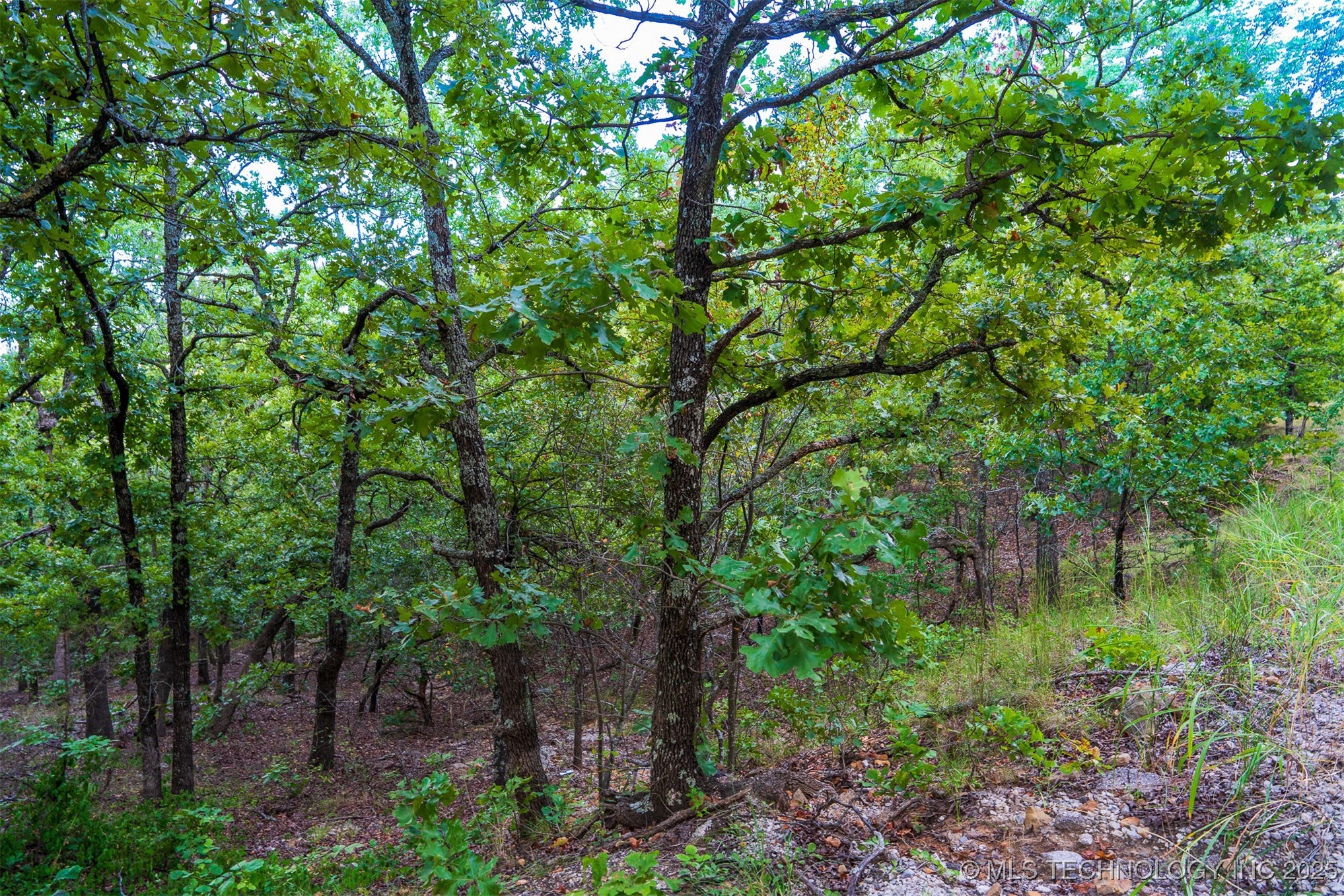 9 Deer Creek Trail Sand Springs OK 74063