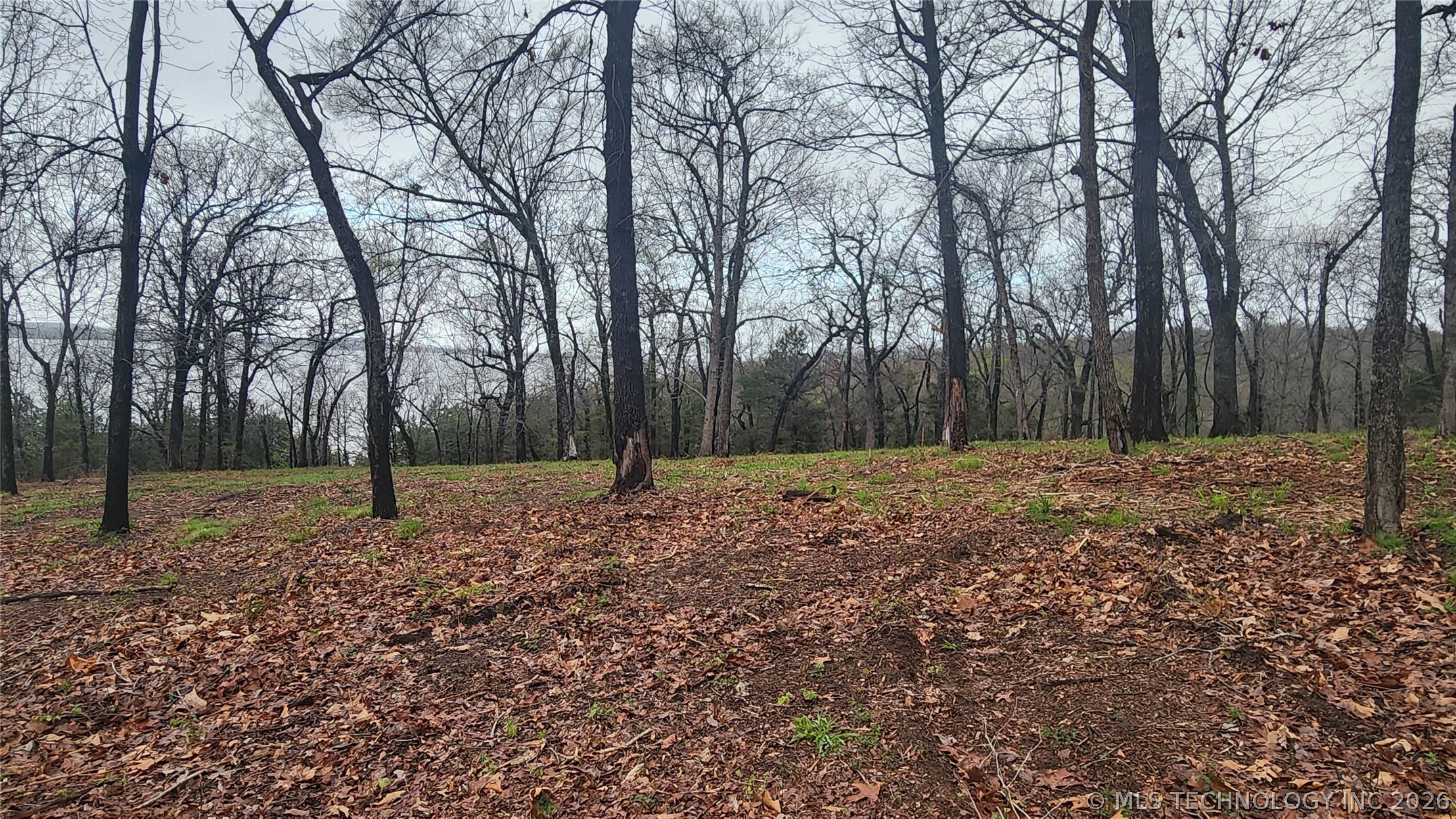 106 Patriot Pointe Eufaula OK 74432