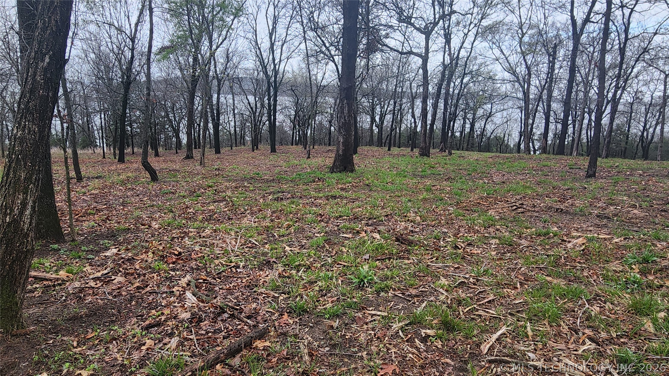 106 Patriot Pointe Eufaula OK 74432