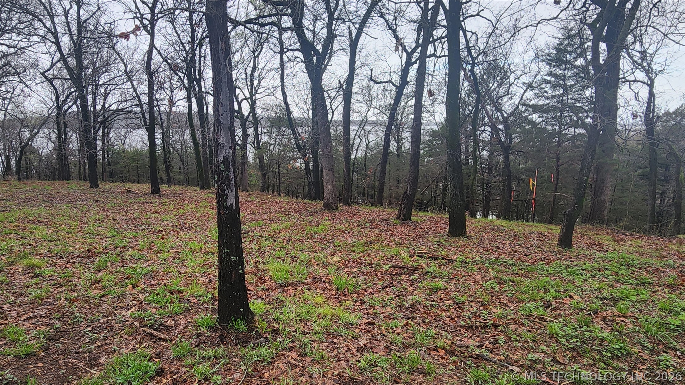106 Patriot Pointe Eufaula OK 74432
