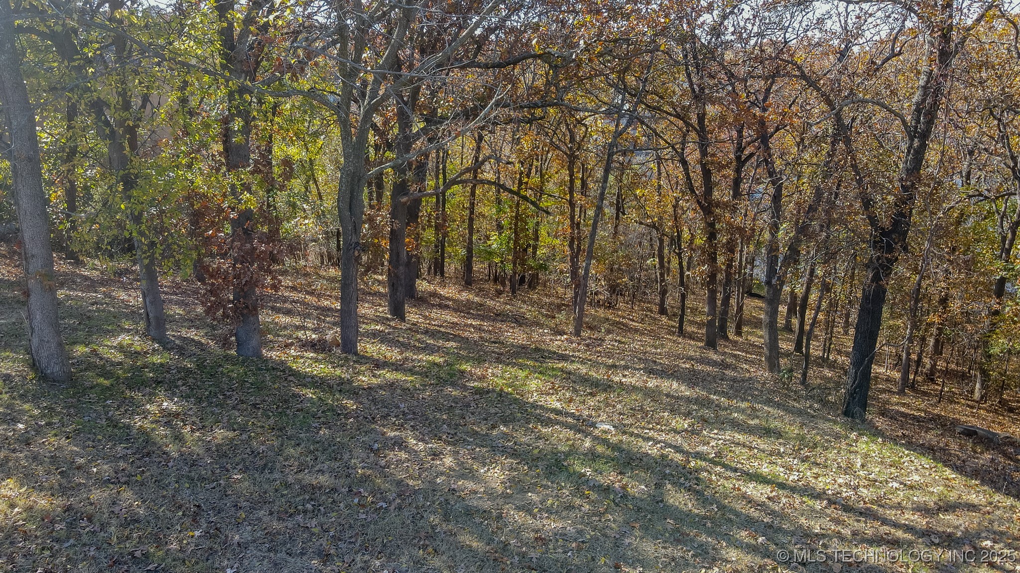 12116 S 14th Court Jenks OK 74037