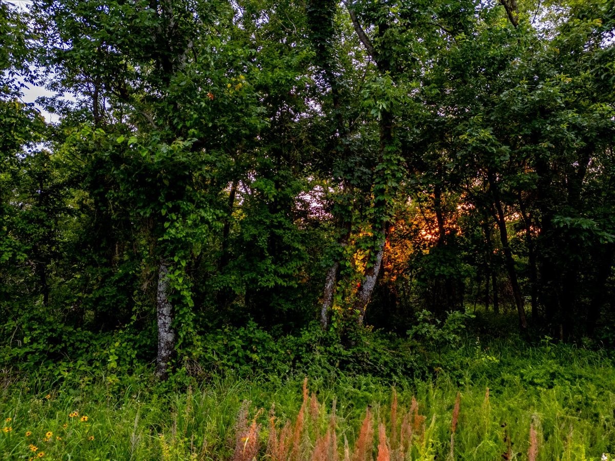 1 E Davis Field Road Muskogee OK 74403