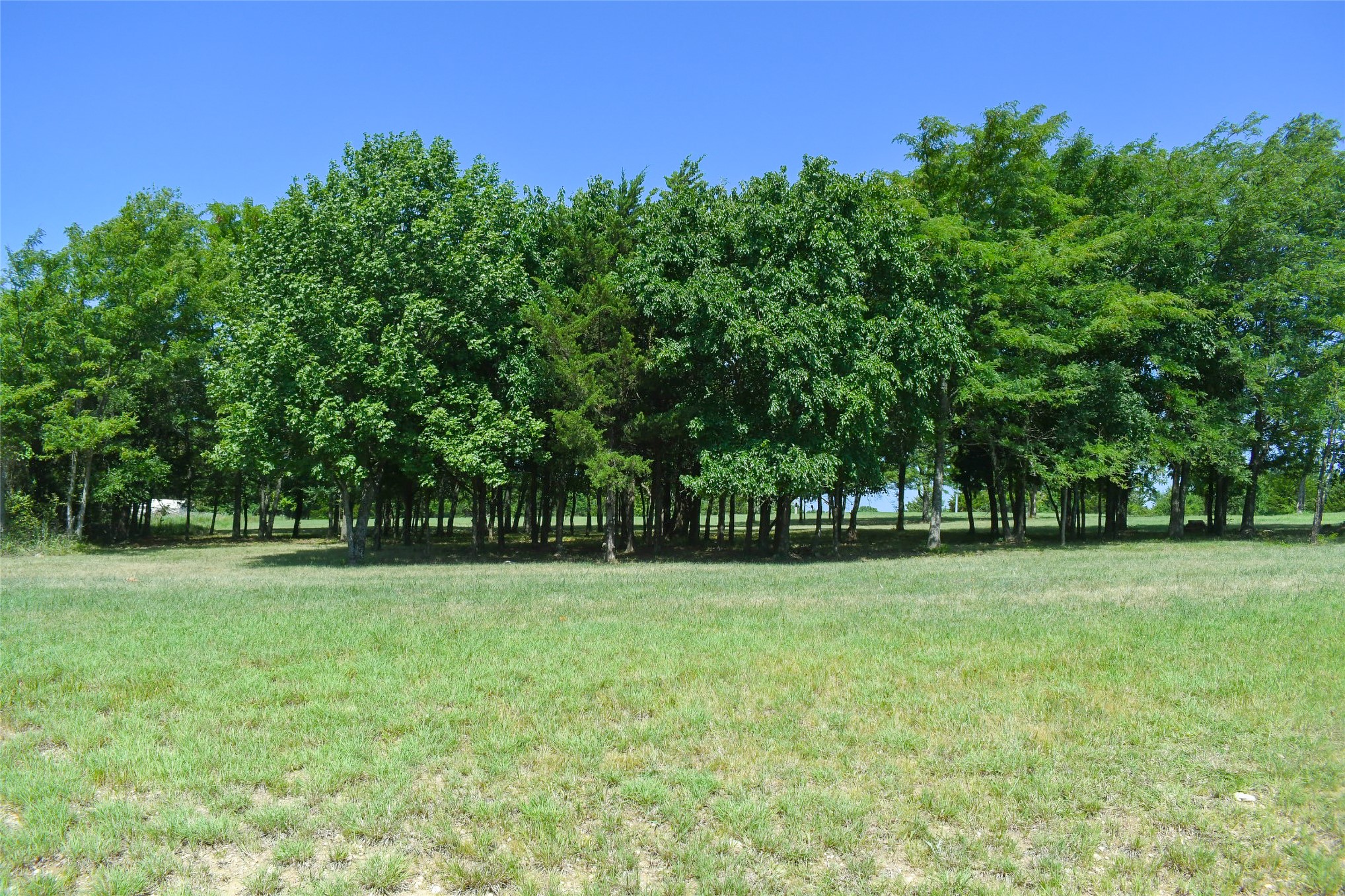 16635 County Road 3540 Ada OK 74820