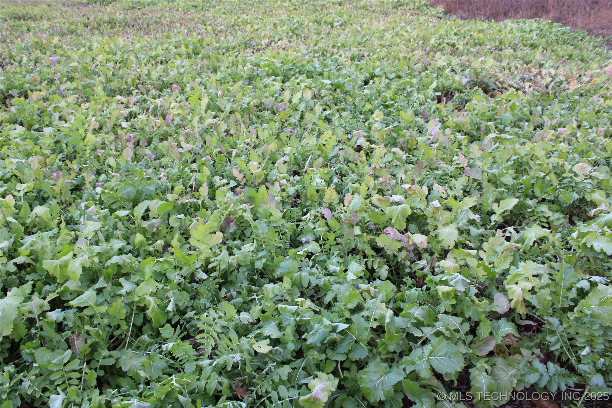 0001 S 4659 Road Bunch OK 74931