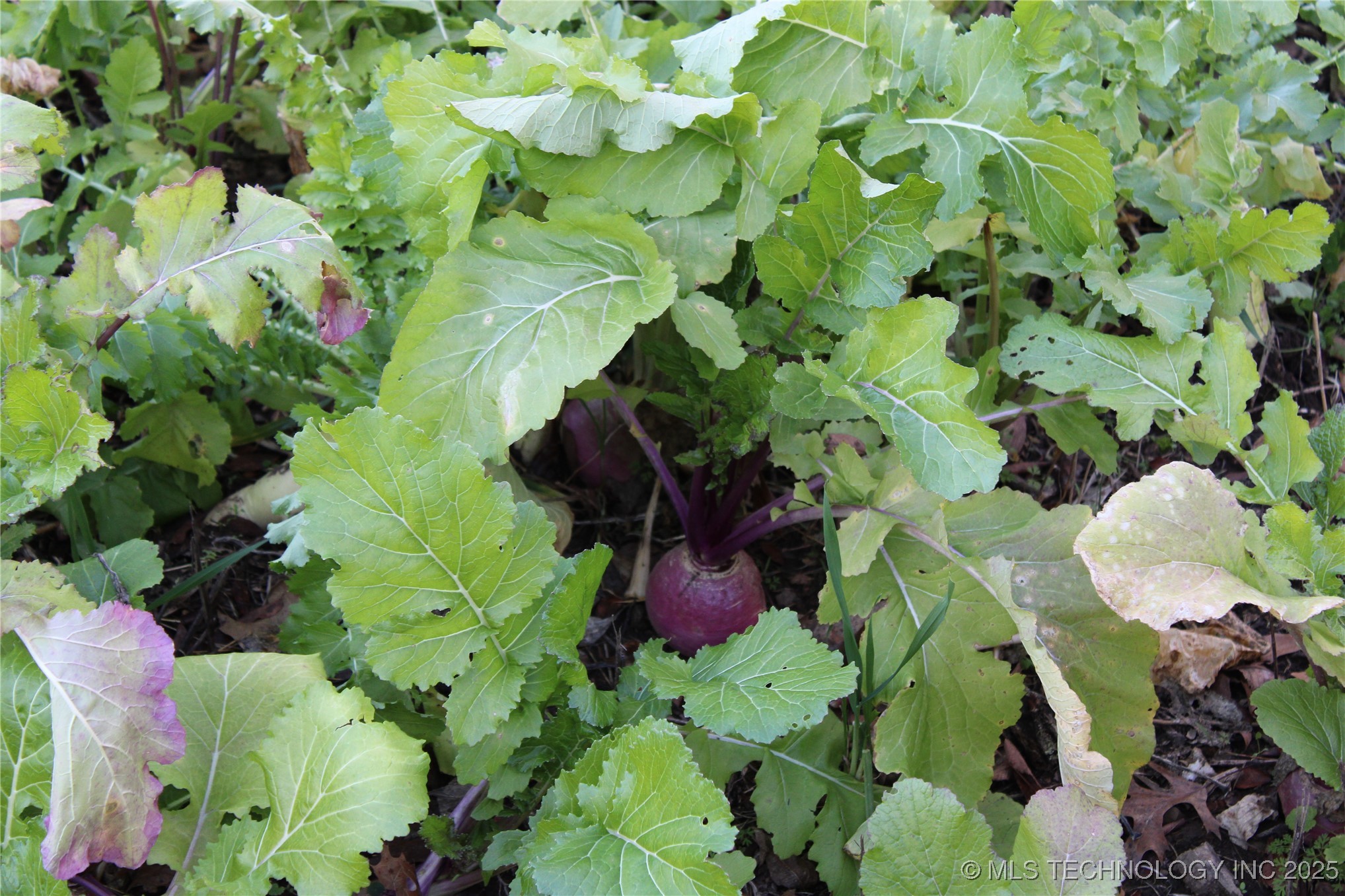 0001 S 4659 Road Bunch OK 74931