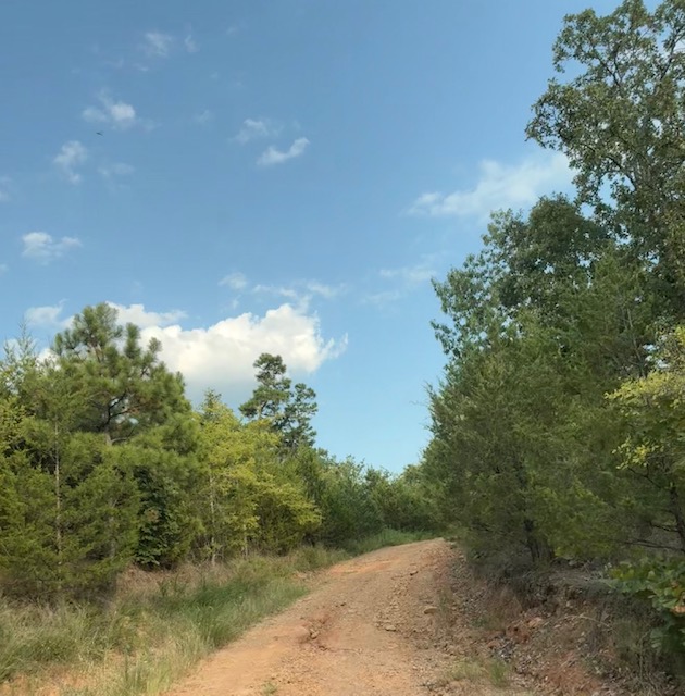 247 Hackney Hill Road Wilburton OK 74578