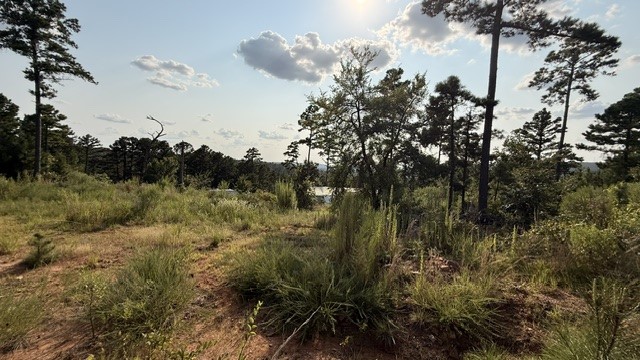 247 Hackney Hill Road Wilburton OK 74578