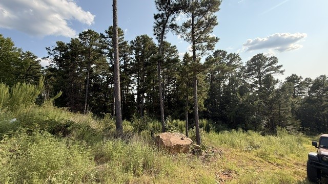 247 Hackney Hill Road Wilburton OK 74578