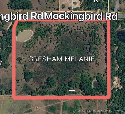 Mockingbird Dickson OK 73401