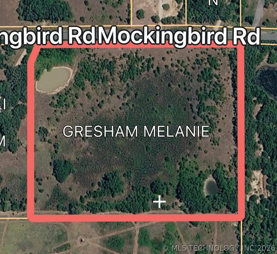 Mockingbird Dickson OK 73401