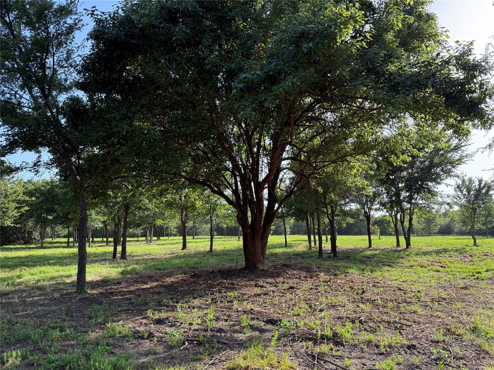 5 County Road 1540 Ada OK 74820