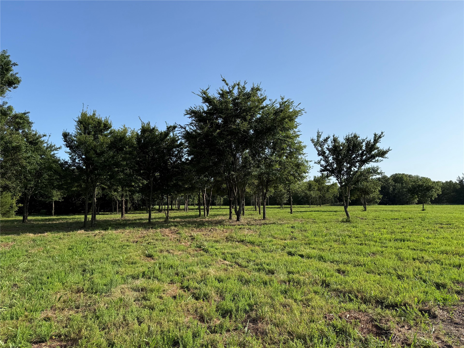5 County Road 1540 Ada OK 74820
