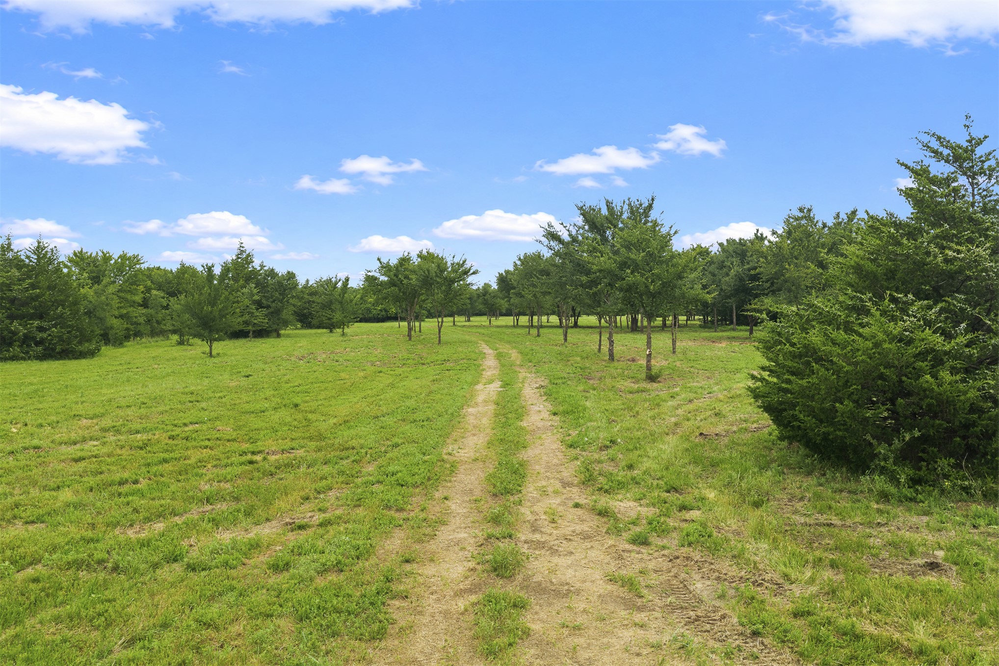 5 County Road 1540 Ada OK 74820