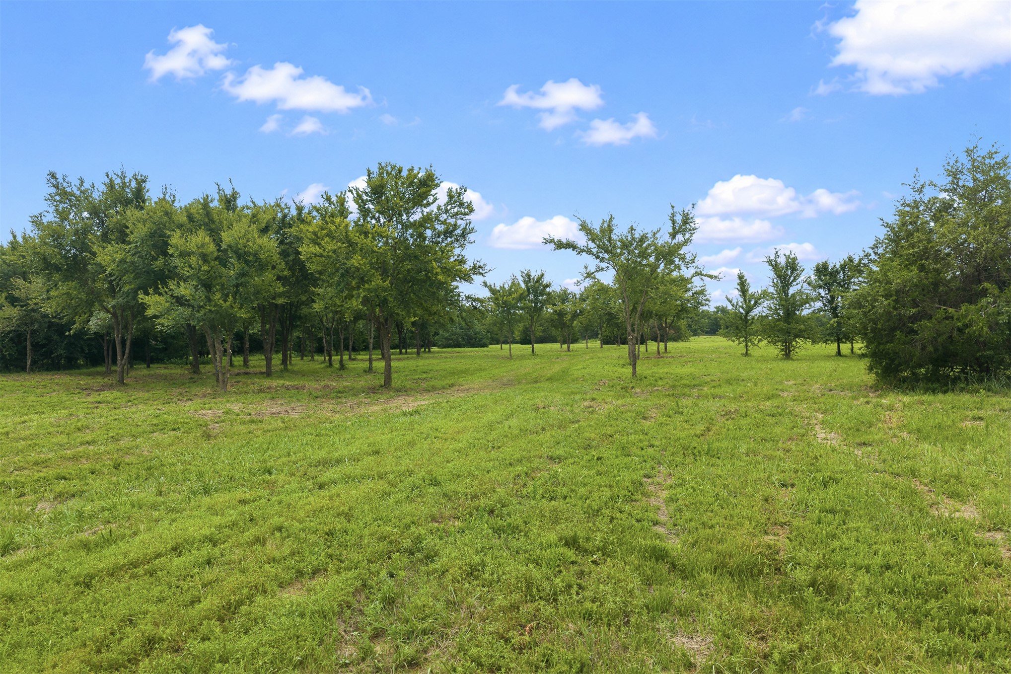 5 County Road 1540 Ada OK 74820
