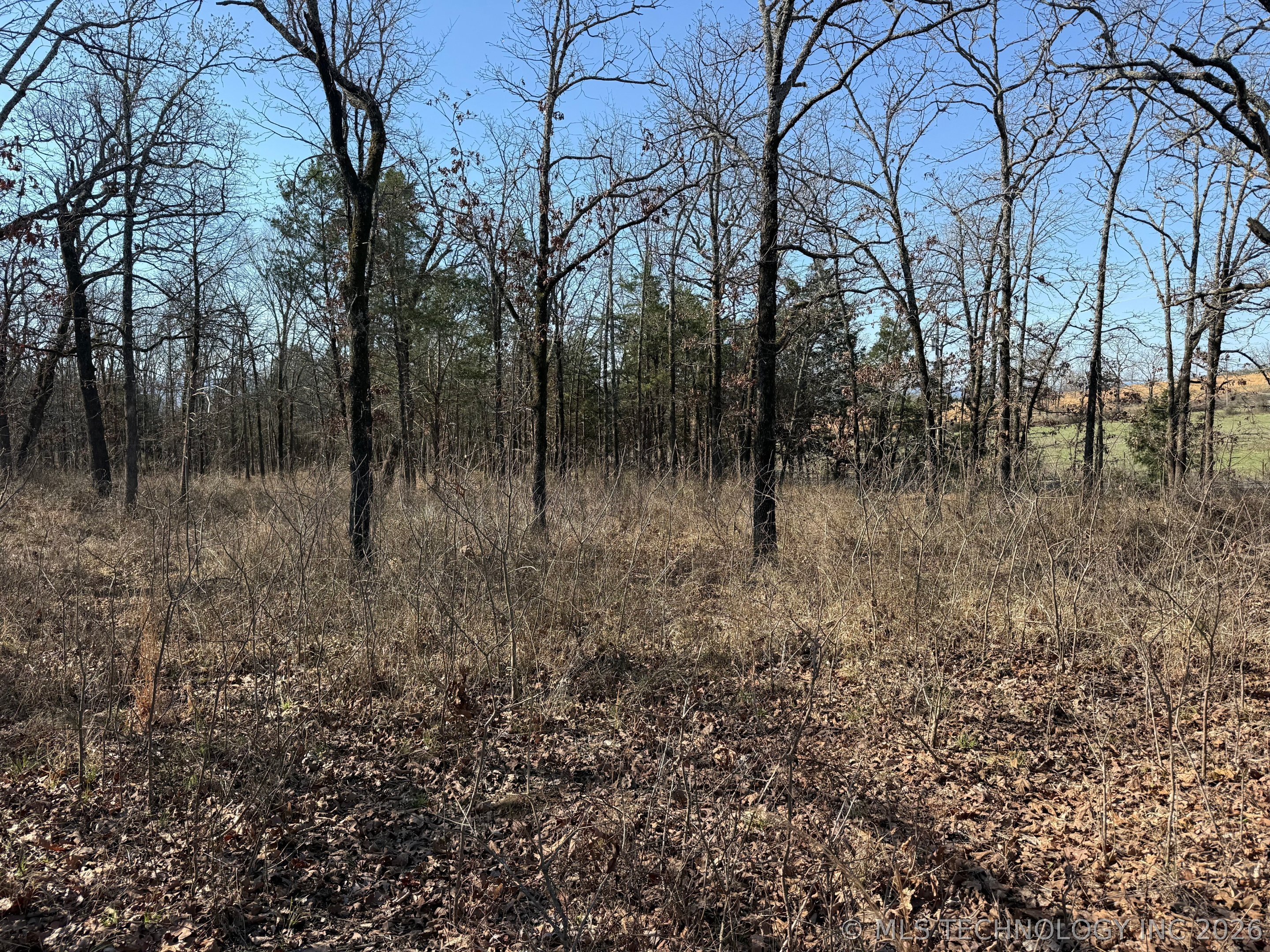 0 Highway 63 Highway Whitesboro OK 74577