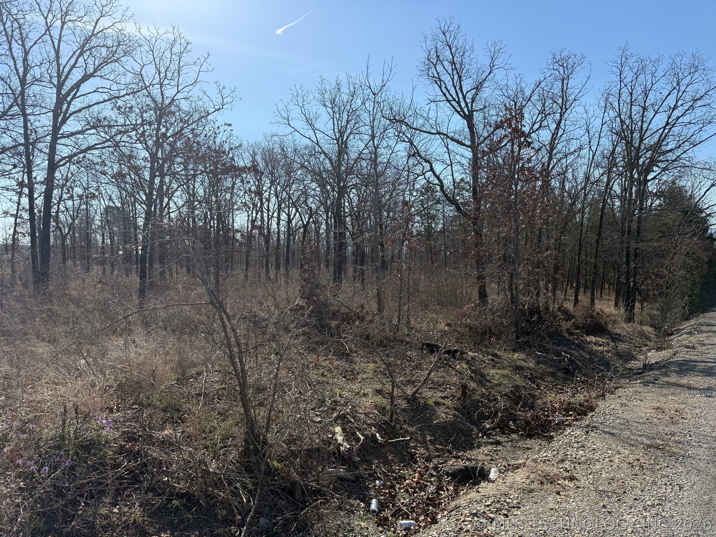 0 Highway 63 Highway Whitesboro OK 74577