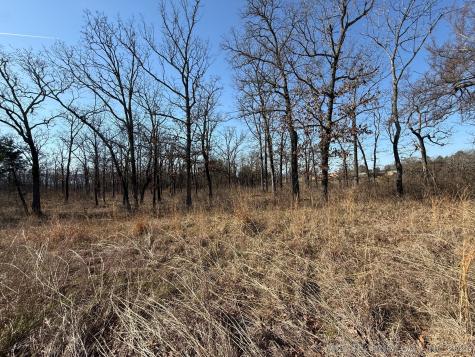 0 Highway 63 Highway Whitesboro OK 74577