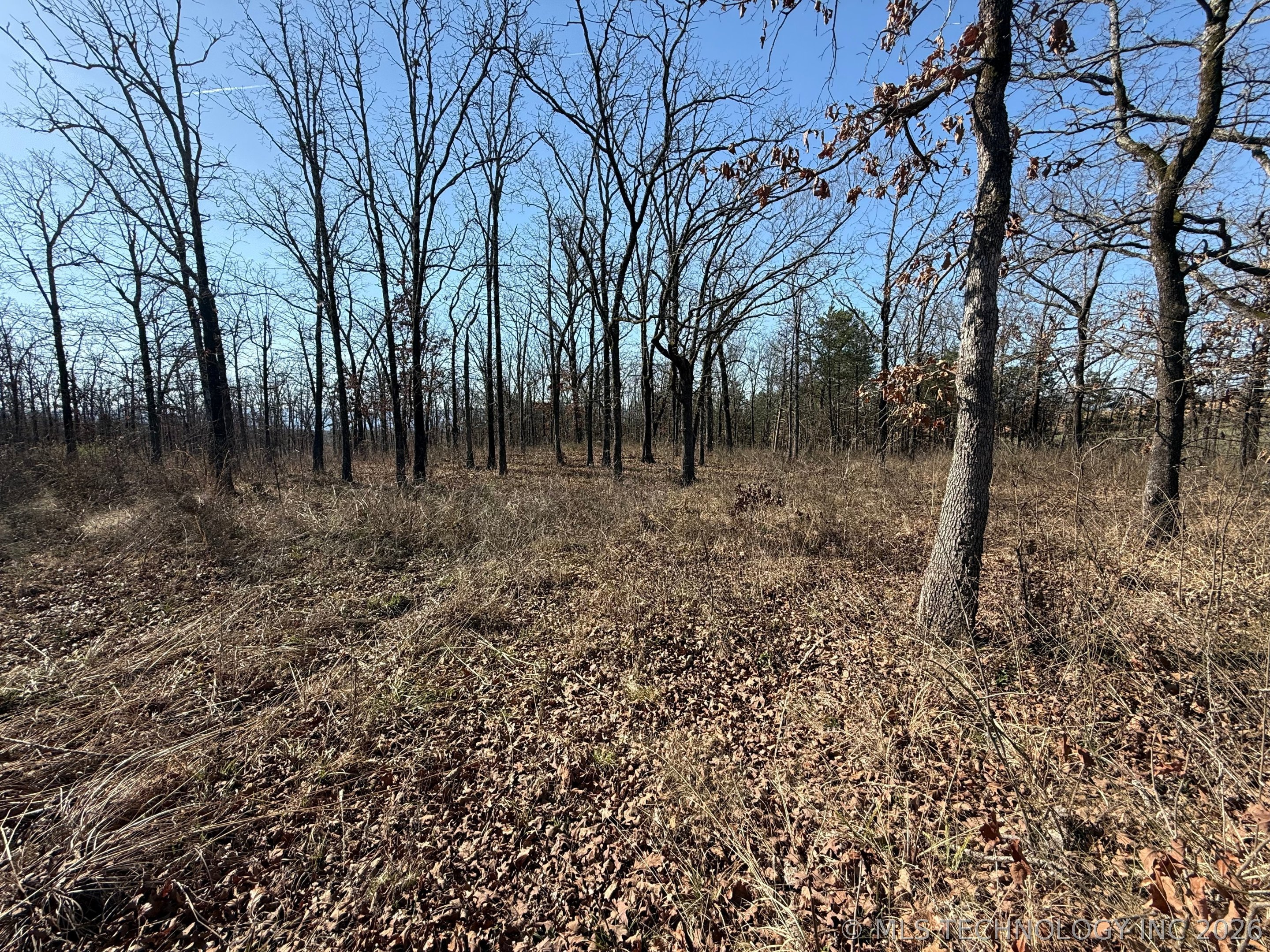 0 Highway 63 Highway Whitesboro OK 74577