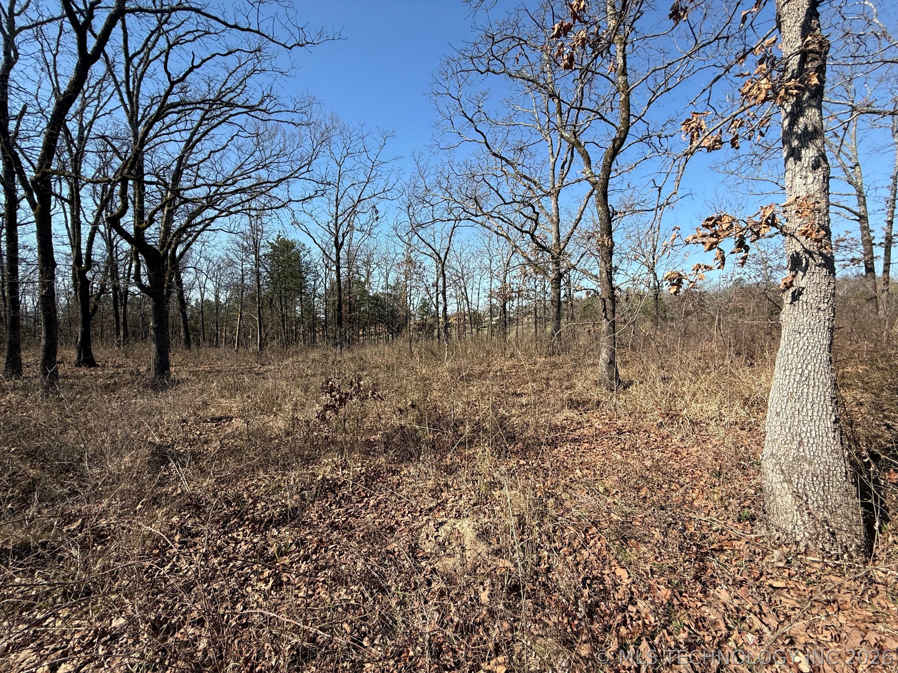 0 Highway 63 Highway Whitesboro OK 74577