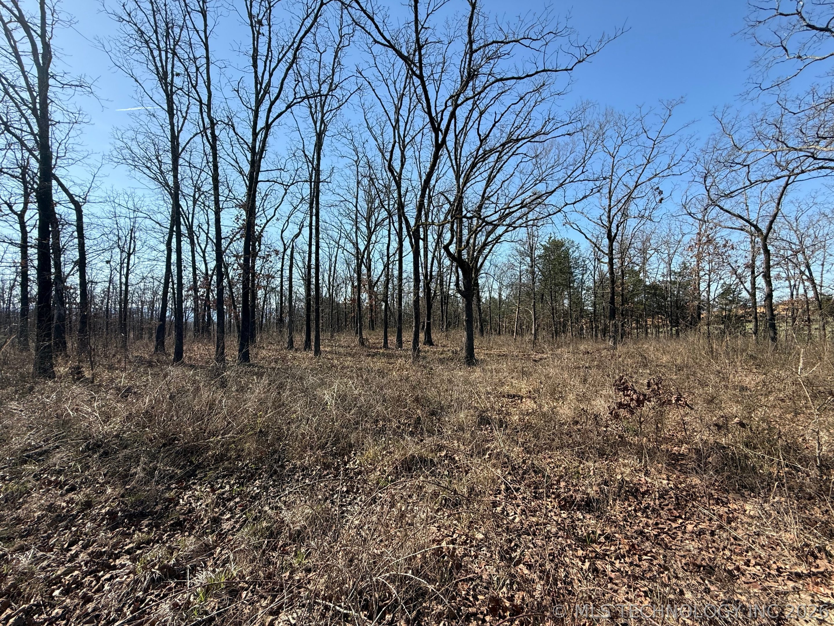 0 Highway 63 Highway Whitesboro OK 74577