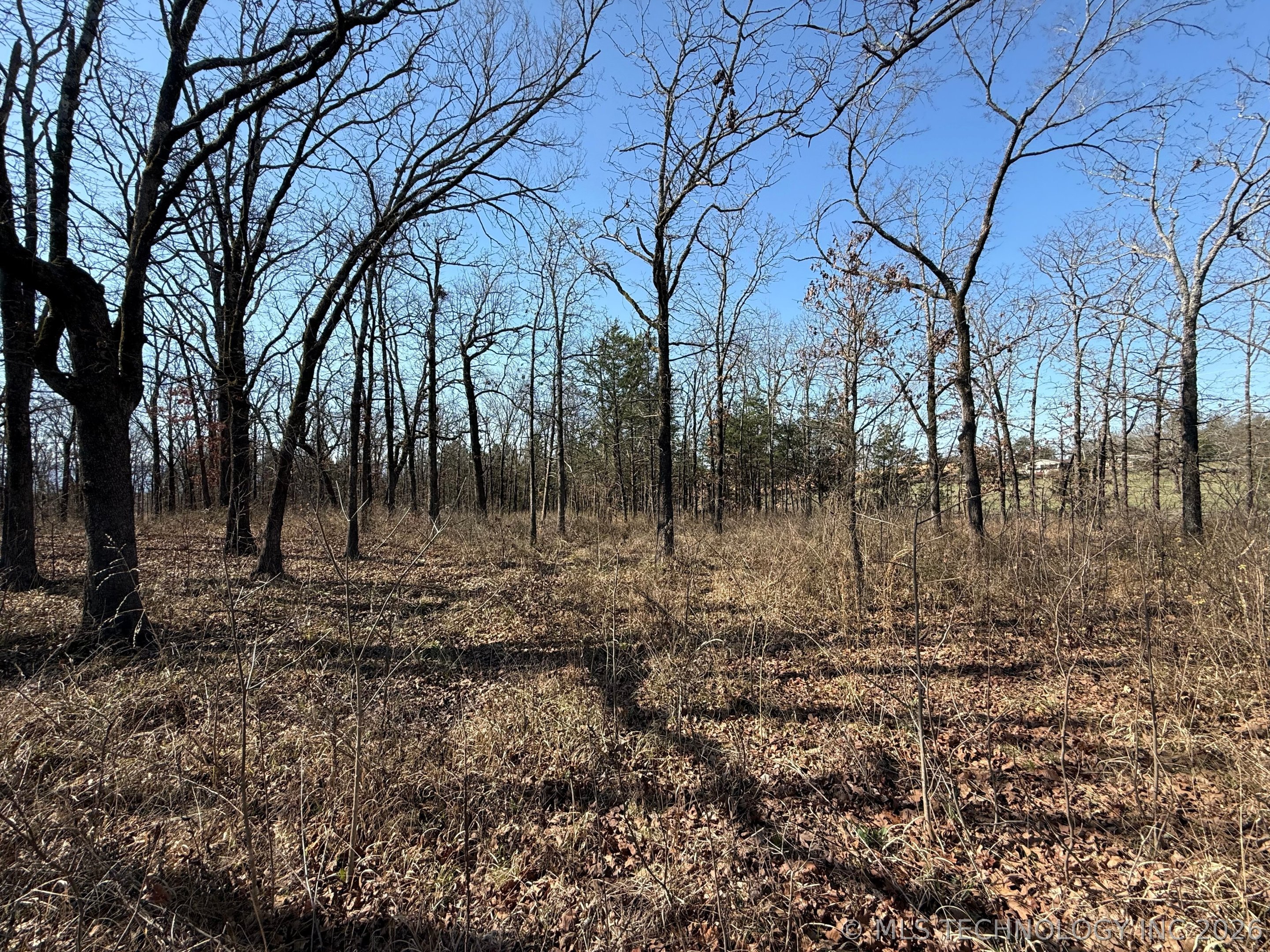 0 Highway 63 Highway Whitesboro OK 74577