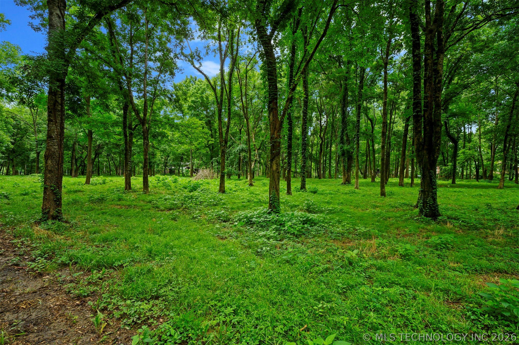 56 River Landing Trail Eagletown OK 74734