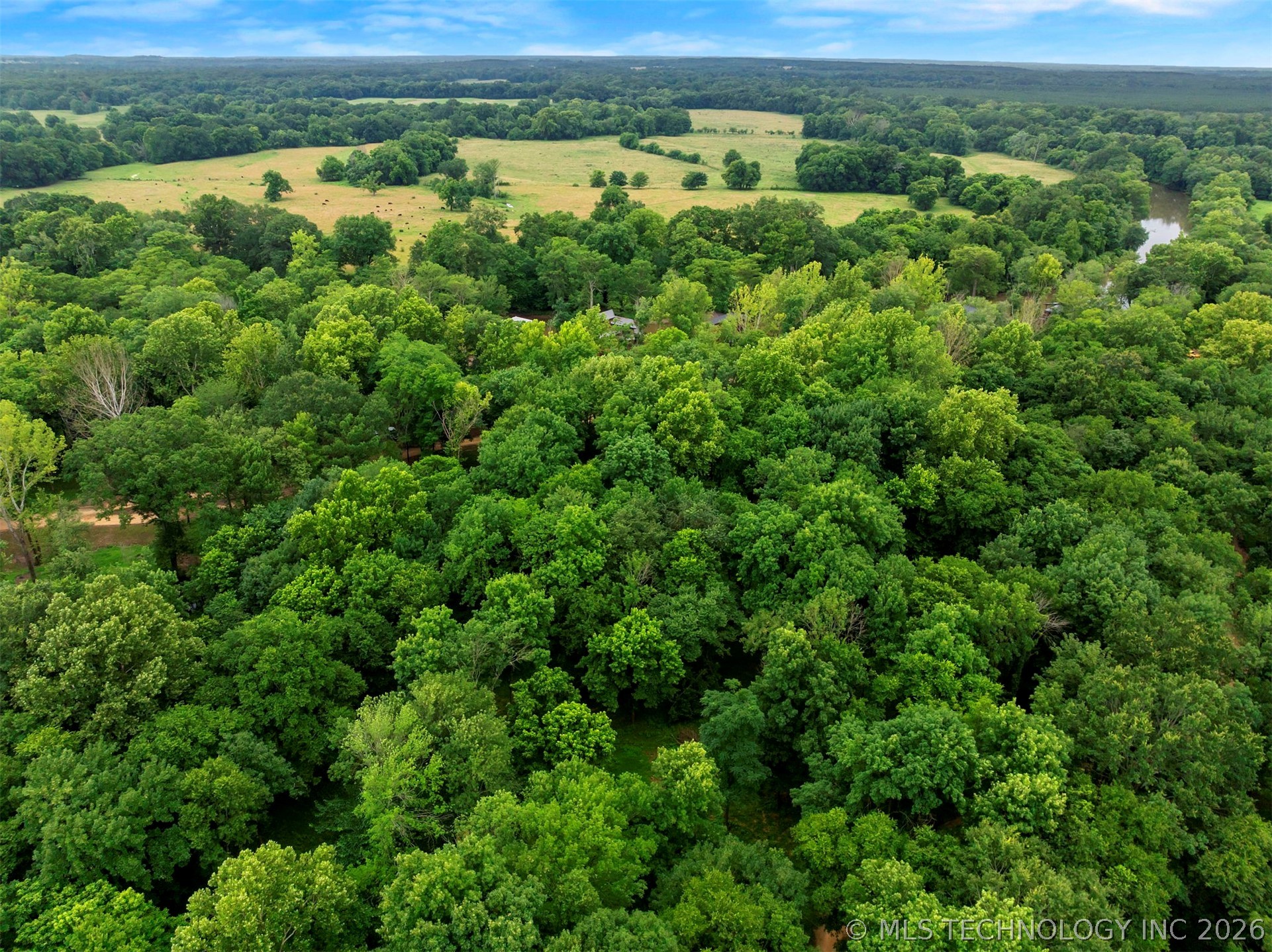 56 River Landing Trail Eagletown OK 74734