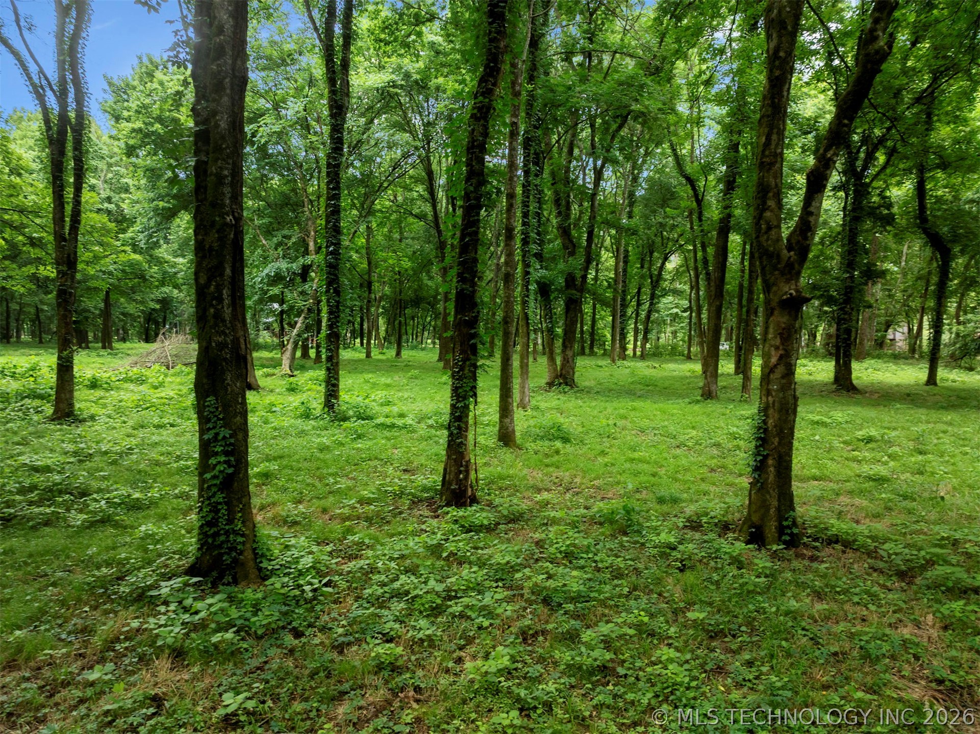 56 River Landing Trail Eagletown OK 74734
