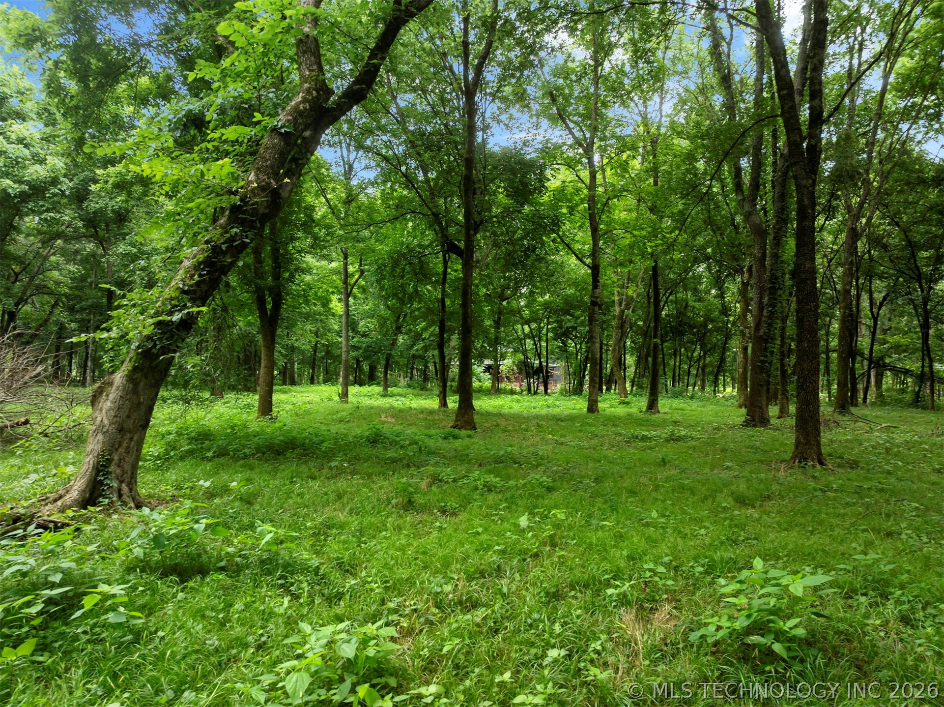 56 River Landing Trail Eagletown OK 74734