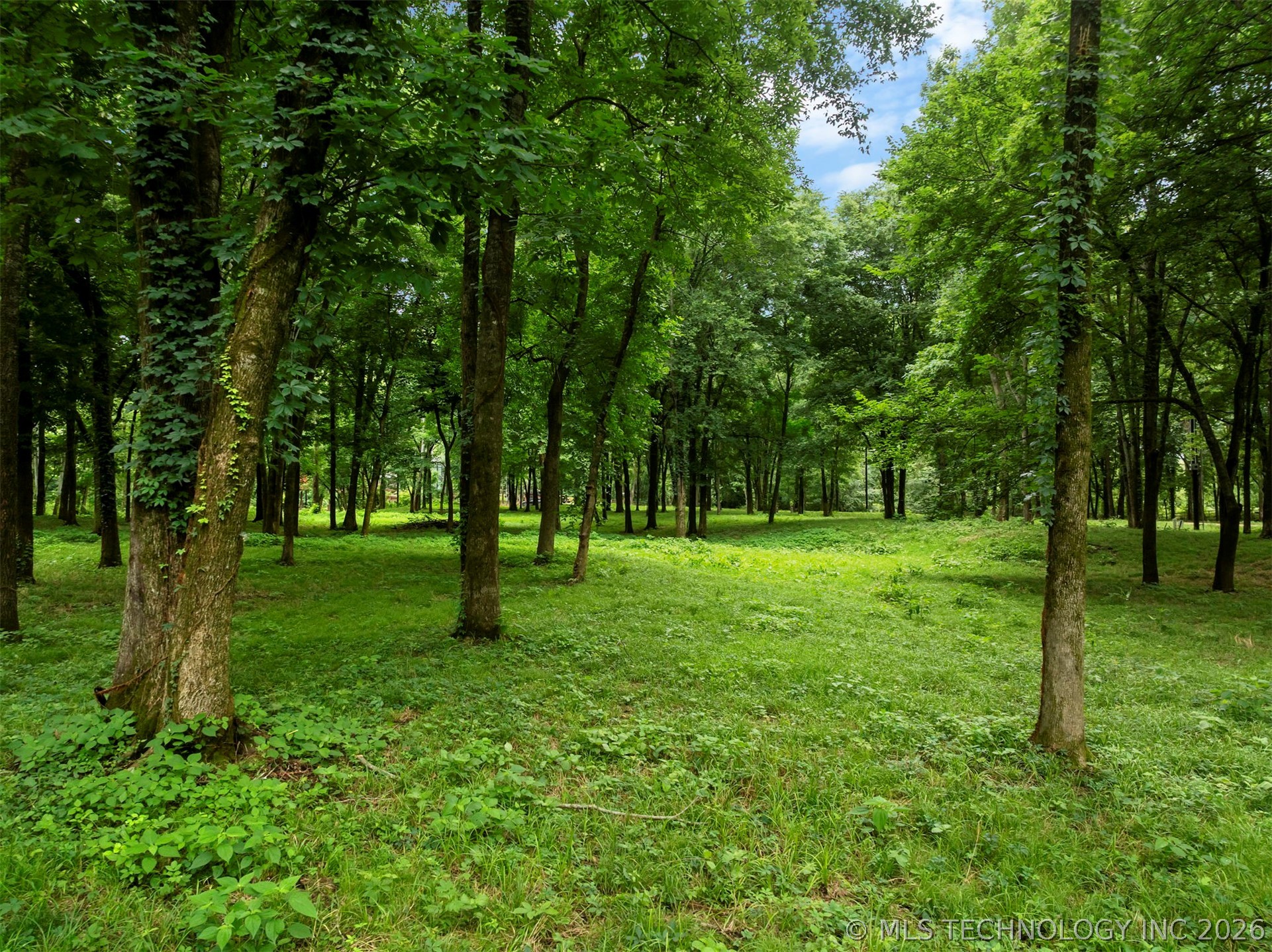 56 River Landing Trail Eagletown OK 74734