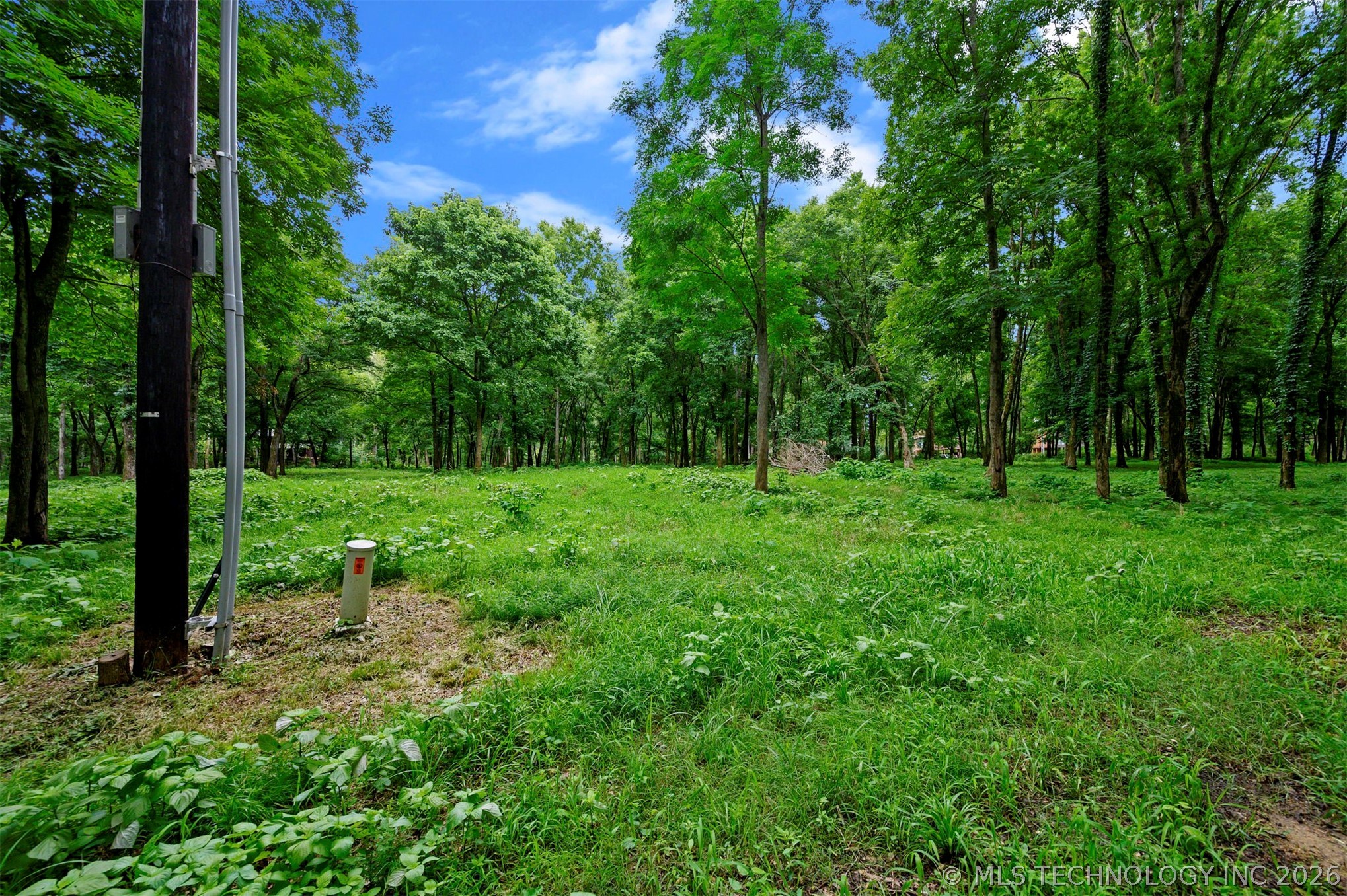 56 River Landing Trail Eagletown OK 74734