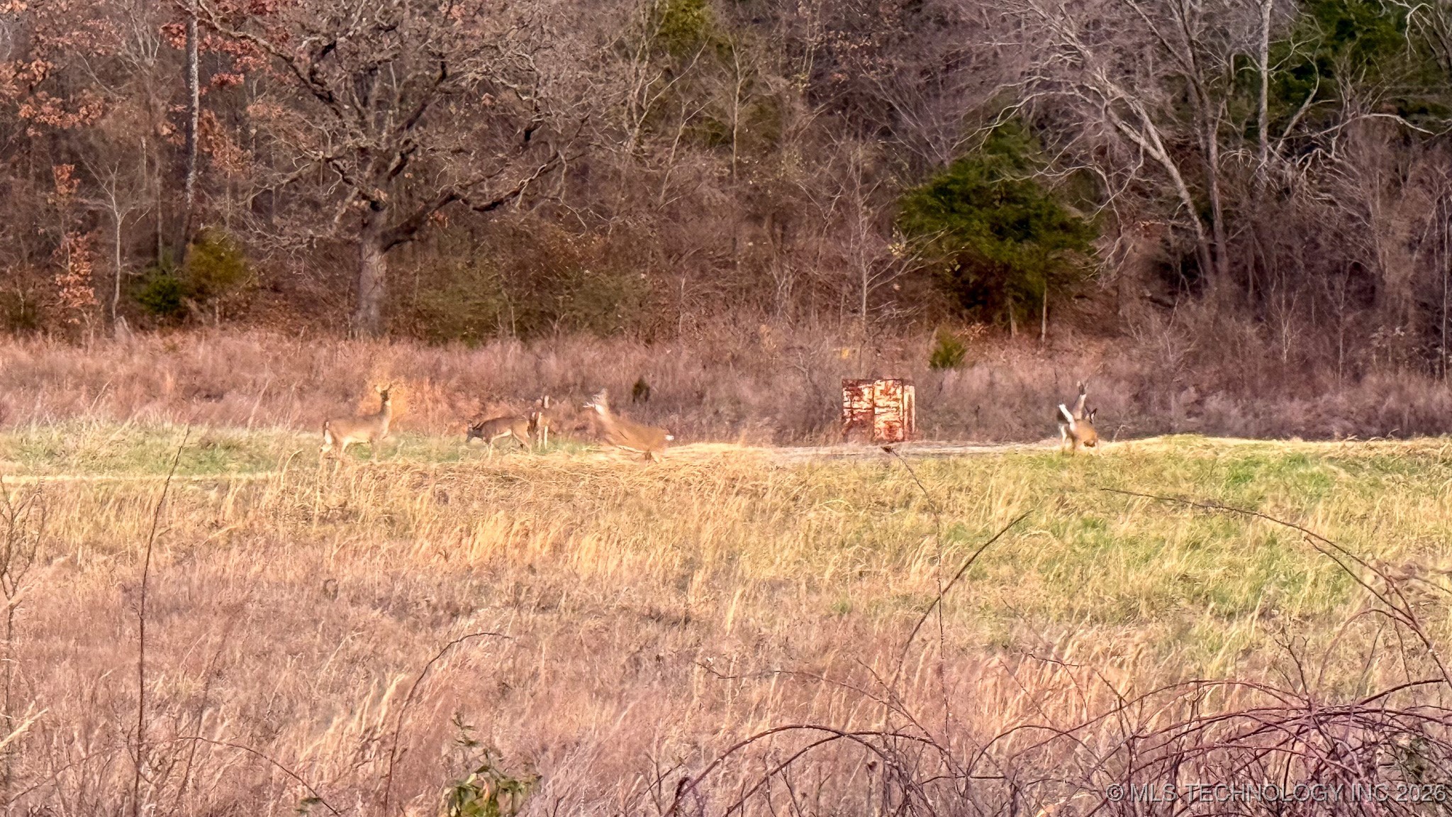 1100 Etchison Road Quinton OK 74561