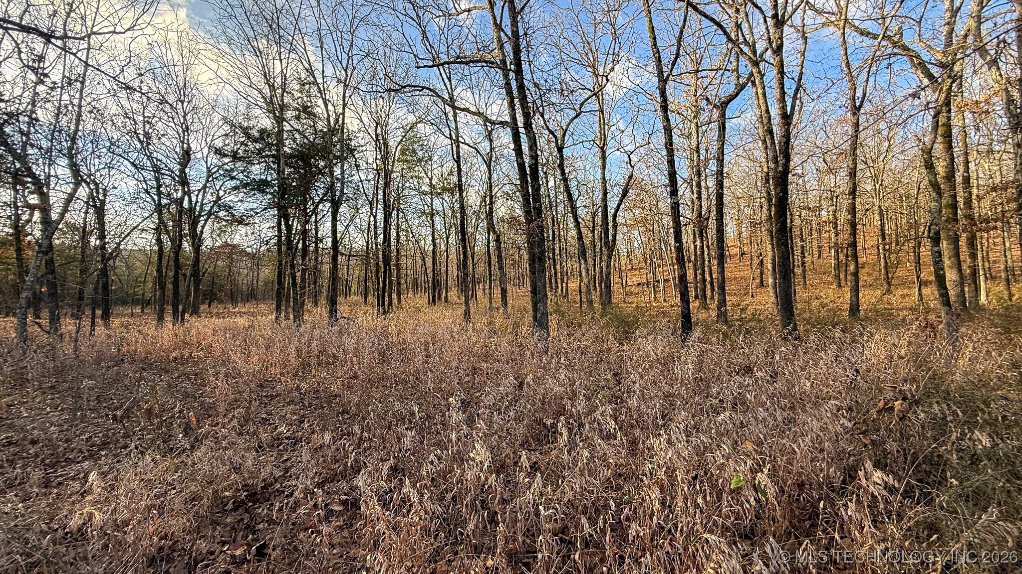1100 Etchison Road Quinton OK 74561