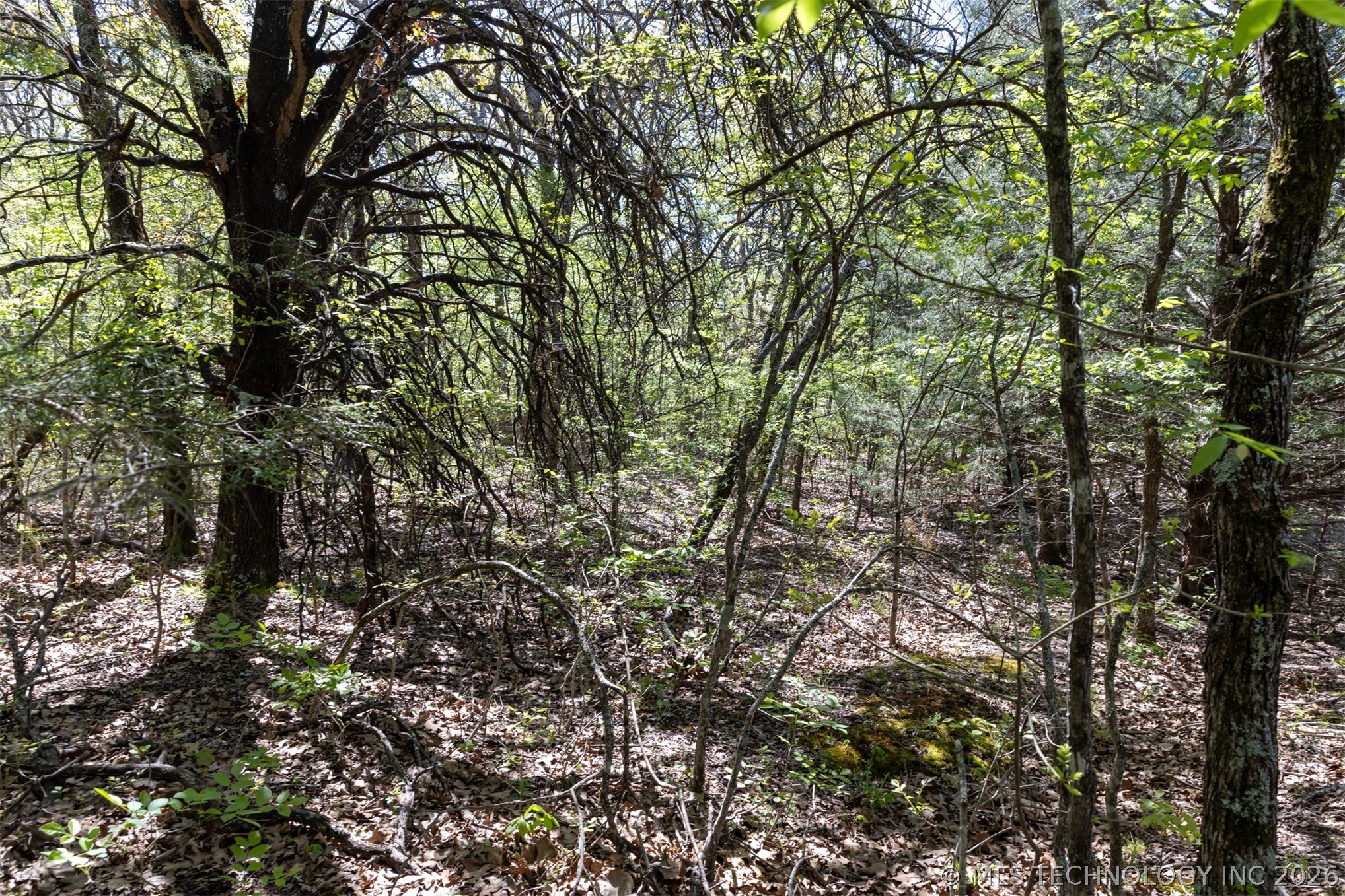 5 E 1180 Road Okemah OK 74859