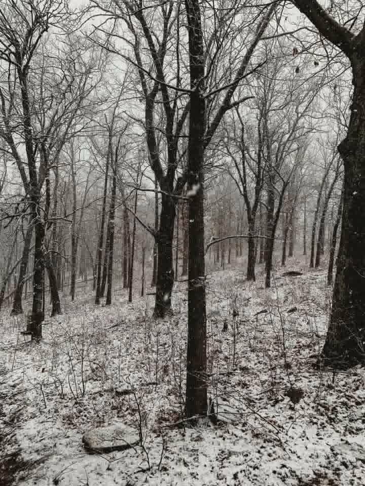 Lookout Road Stigler OK 74462