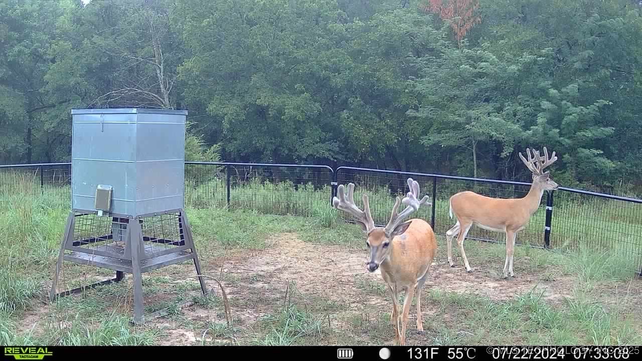 N County Road 3740 Tupelo OK 74572