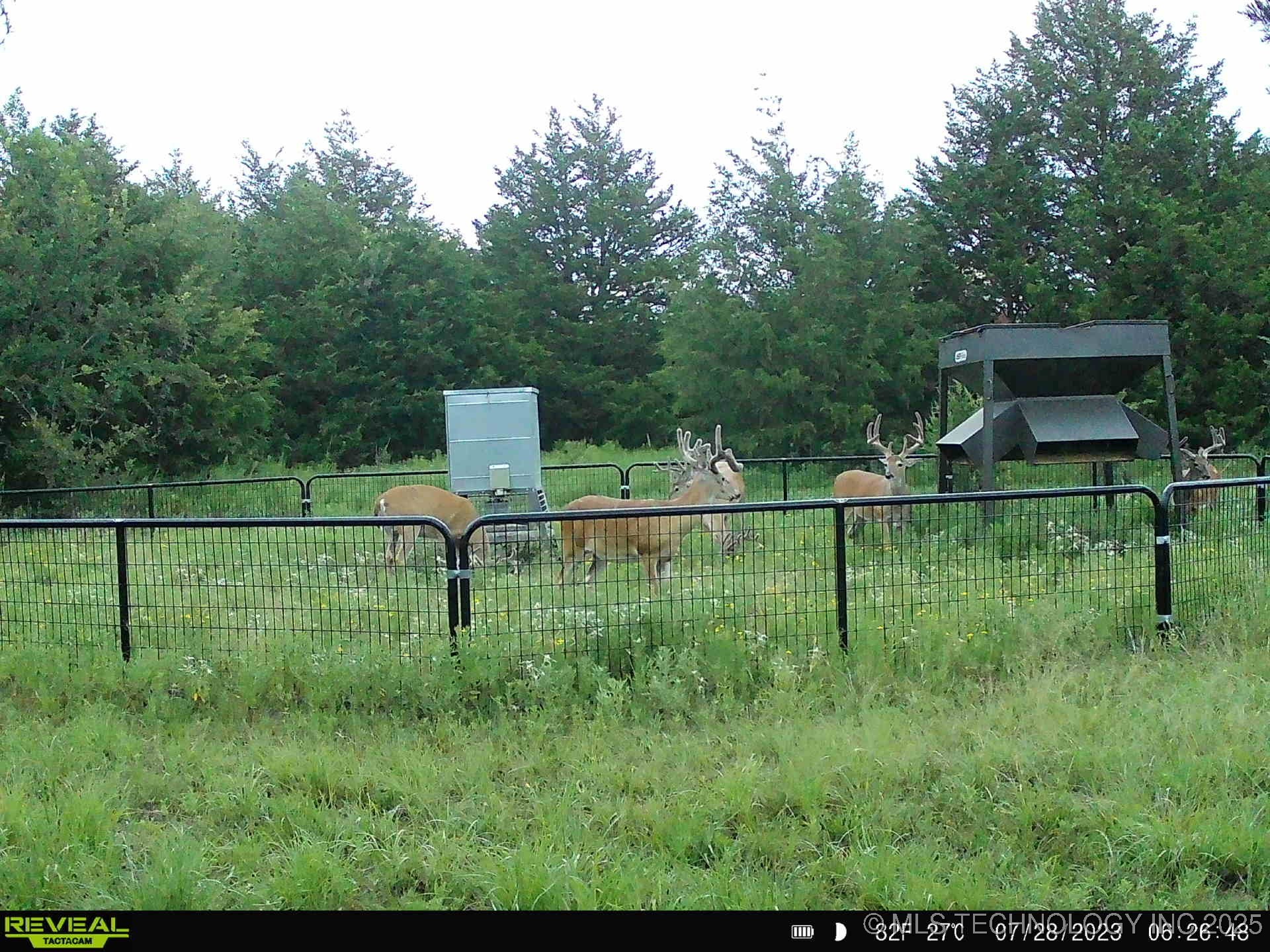 N County Road 3740 Tupelo OK 74572