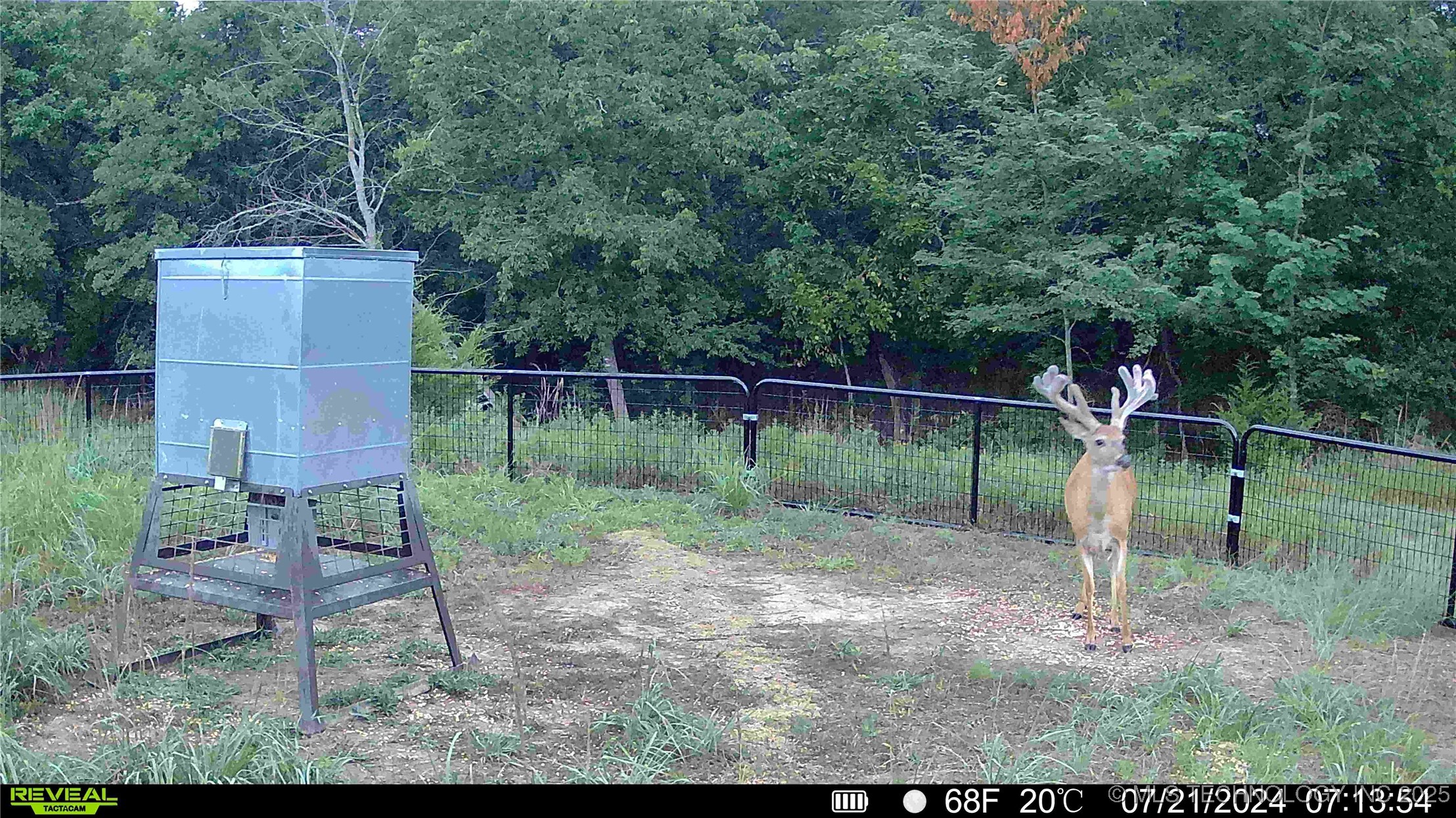 N County Road 3740 Tupelo OK 74572