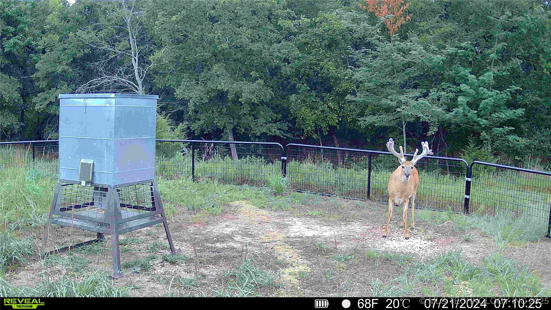 N County Road 3740 Tupelo OK 74572