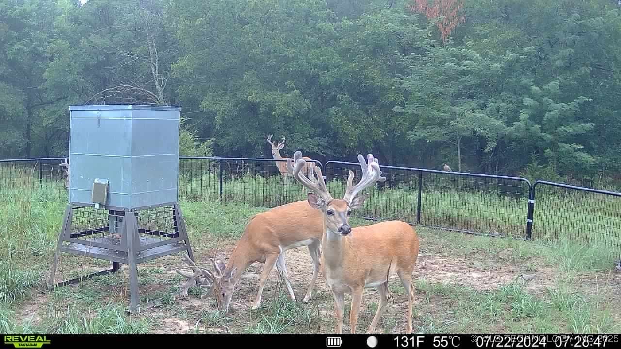 N County Road 3740 Tupelo OK 74572